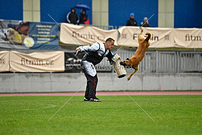 Baxx vom roten Drachen