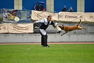 Baxx vom roten Drachen