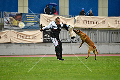 Baxx vom roten Drachen