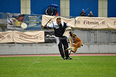 Baxx vom roten Drachen