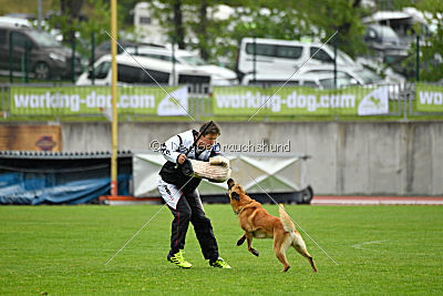 Baxx vom roten Drachen