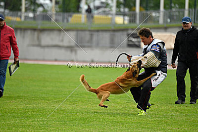 Baxx vom roten Drachen