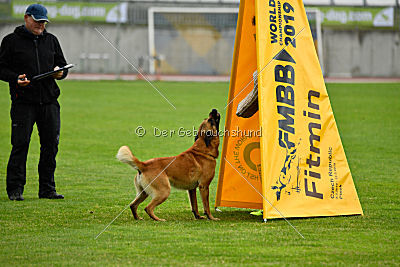 Baxx vom roten Drachen