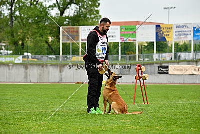 Baxx vom roten Drachen