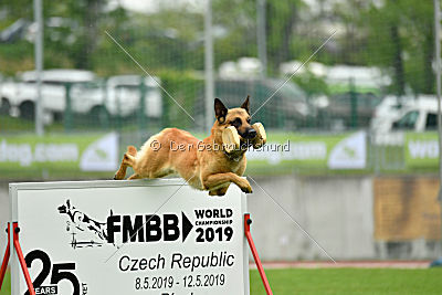 Baxx vom roten Drachen