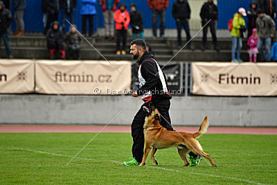 Baxx vom roten Drachen