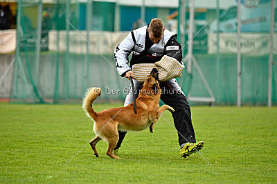 Baxx vom roten Drachen