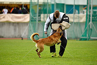 Baxx vom roten Drachen