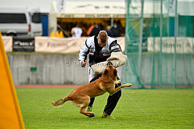 Baxx vom roten Drachen