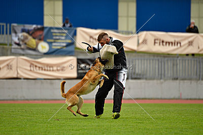 Baxx vom roten Drachen