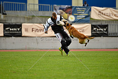 Baxx vom roten Drachen