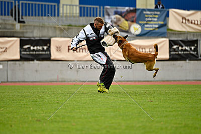 Baxx vom roten Drachen