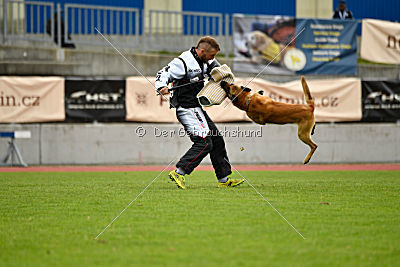 Baxx vom roten Drachen