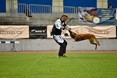 Baxx vom roten Drachen