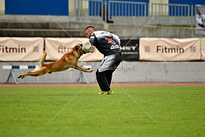 Baxx vom roten Drachen