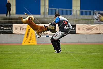 Baxx vom roten Drachen