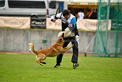 Baxx vom roten Drachen