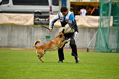 Baxx vom roten Drachen