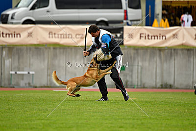 Baxx vom roten Drachen