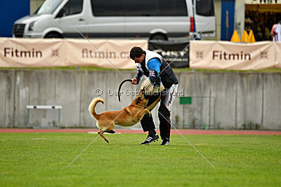 Baxx vom roten Drachen