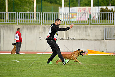 Baxx vom roten Drachen