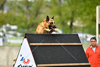 Baxx vom roten Drachen