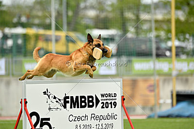 Baxx vom roten Drachen