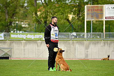 Baxx vom roten Drachen