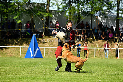 Baxx vom roten Drachen