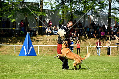 Baxx vom roten Drachen