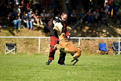 Baxx vom roten Drachen