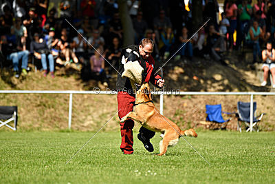 Baxx vom roten Drachen