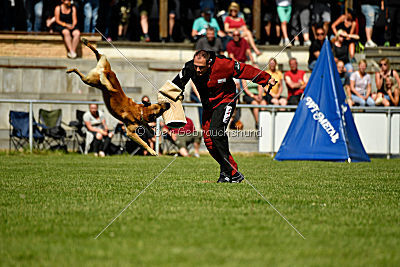 Baxx vom roten Drachen