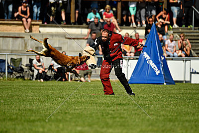 Baxx vom roten Drachen