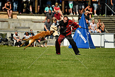 Baxx vom roten Drachen