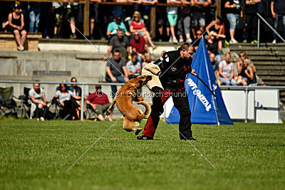 Baxx vom roten Drachen