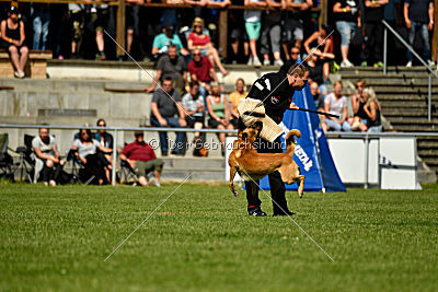 Baxx vom roten Drachen