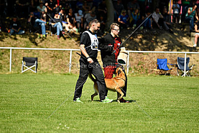 Baxx vom roten Drachen