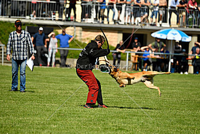 Baxx vom roten Drachen