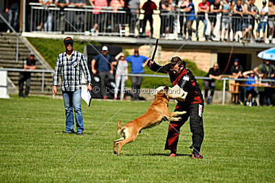 Baxx vom roten Drachen