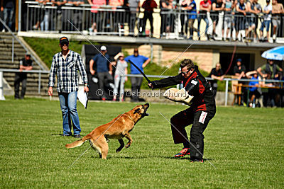 Baxx vom roten Drachen