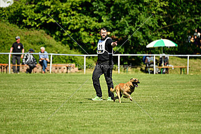 Baxx vom roten Drachen