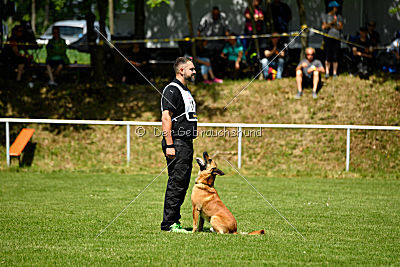 Baxx vom roten Drachen