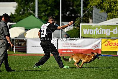 Baxx vom roten Drachen