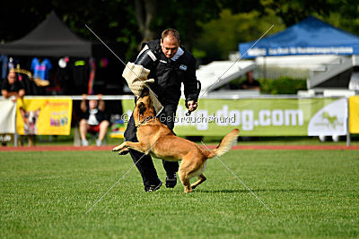 Baxx vom roten Drachen