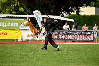 Baxx vom roten Drachen