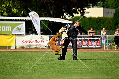 Baxx vom roten Drachen