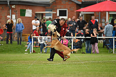 Baya vom Clan der Wölfe