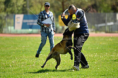 Be Eddy de Fontemordant