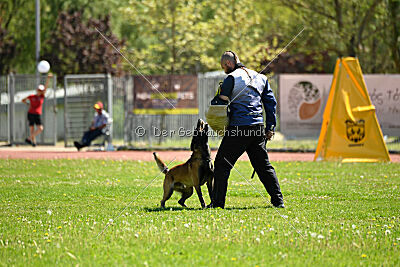 Be Eddy de Fontemordant